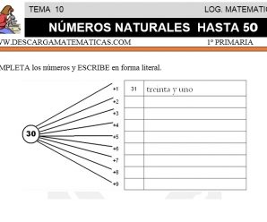 DESCARGAR NUMEROS NATURALES HASTA 50 – MATEMATICA PRIMERO DE PRIMARIA
