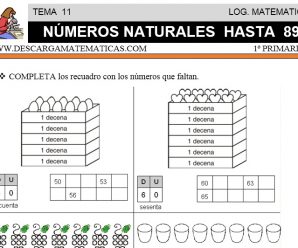 DESCARGAR NUMEROS NATURALES HASTA 89 – MATEMATICA PRIMERO DE PRIMARIA