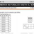 DESCARGAR NUMEROS NATURALES HASTA EL NÚMERO 99 – MATEMATICA PRIMERO DE PRIMARIA