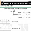 DESCARGAR NUMEROS HASTA 999 – MATEMATICA TERCERO DE PRIMARIA