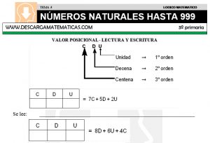 05 NÚMEROS NATURALES HASTA 999 - TERCERO DE PRIMARIA