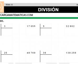 DESCARGAR DIVISION – MATEMATICA CUARTO DE PRIMARIA