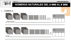 24 NÚMEROS NATURALES DEL 3000 AL 5000 - SEGUNDO DE PRIMARIA