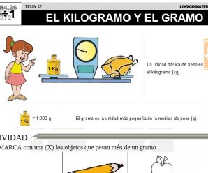 DESCARGAR EL KILOGRAMO Y EL GRAMO – MATEMATICA SEGUNDO DE PRIMARIA